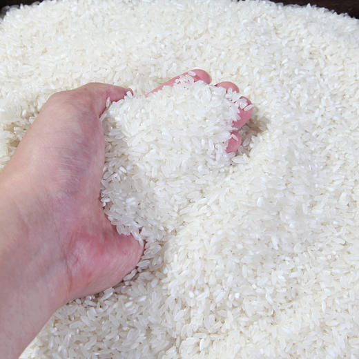 【建发出品】岁幸福米五常大米（原粮稻花香2号） 2.5kg 商品图4