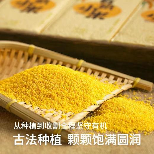 敖汉有机小米 商品图2