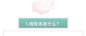 12.【营养素处方】逆龄的秘诀，恢复线粒体功能