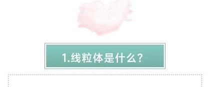 12.【营养素处方】逆龄的秘诀，恢复线粒体功能 商品图0