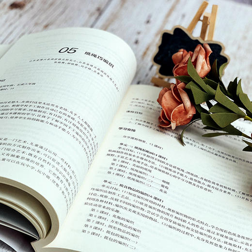 课程与梦想 “真爱梦想杯”校本课程设计大赛作品精选 新课程方案 崔允漷 吴刚平 周文胜 商品图9