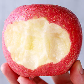 【红富士苹果】一口爆汁咔嚓脆 甜蜜好吃 当季新鲜水果 xsg1