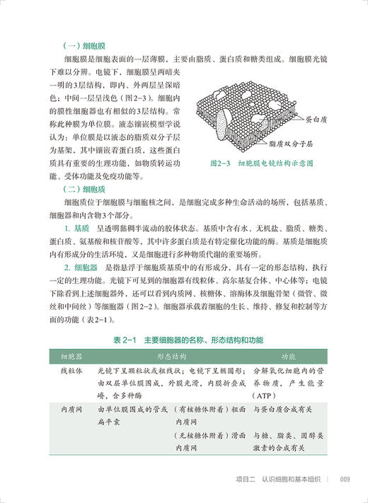 实用医学基础 第2版 全国中等卫生职业教育十四五规划教材 供药剂制药技术应用专业用 曲永松 人民卫生出版社9787117332606 商品图4