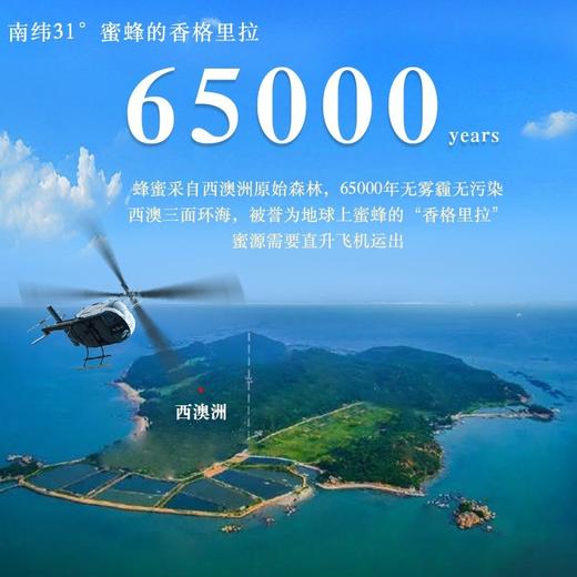 Karibee可瑞比 红柳桉树蜂蜜 25+ 250g 商品图4