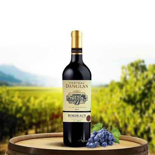 【法国进口】丹朗庄园干红葡萄酒 12.5%vol 750ml/瓶 商品图3