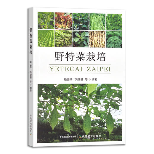 野特菜栽培 赖正锋,洪建基 蔬菜 园艺 野生植物 29764 商品图1