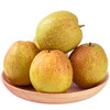【秋季新品】红香酥梨子 新鲜水果 应当季整箱 脆甜香梨 时令青雪酥梨xsg8 商品缩略图3