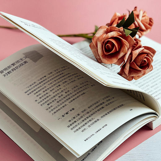 教育可以不同 让教育多一种可能 大夏书系 教育新思考 特级教师张祖庆 教师专业发展 商品图12