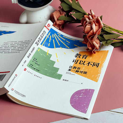 教育可以不同 让教育多一种可能 大夏书系 教育新思考 特级教师张祖庆 教师专业发展 商品图11