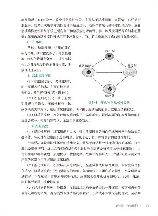 临床医学概要 第2版 全国中等卫生职业教育十四五规划教材 供药剂制药技术应用专业用 林玲主编 人民卫生出版社9787117331784 商品图4