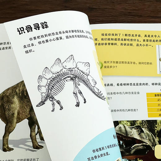 从小就做数学高手-期间赠送价值35元赠书！ 商品图6