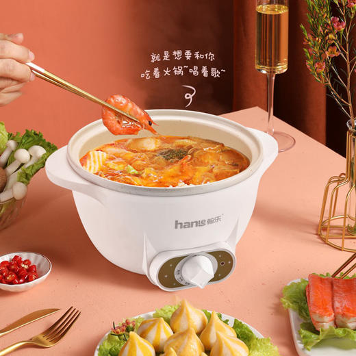 翰乐多功能迷你电煮锅HL-YXSG70（双耳带格） 商品图1