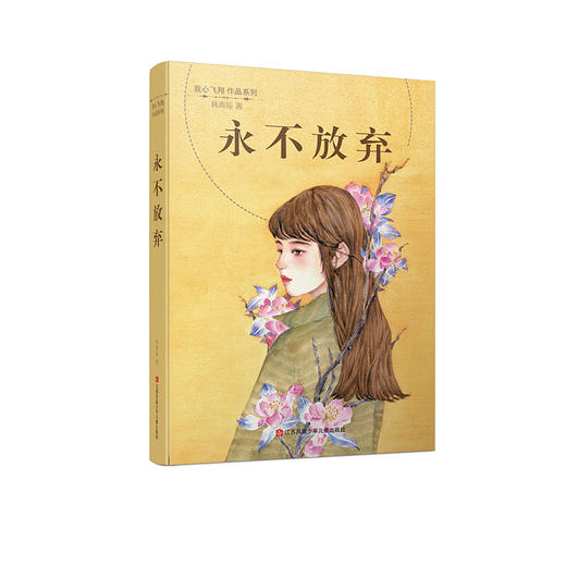 (仓发) 韩青辰我心飞翔系列：永不放弃/直面未成年人成长危机，塑造青少年健全人格/江苏凤凰少年儿童出版社/韩青辰/9787558408120 商品图0