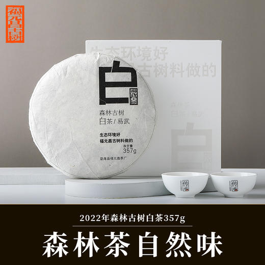 【福元昌古树】2022年森林白茶357g 易武魅力 古法制茶 商品图0