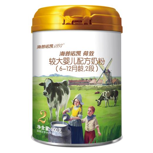 1897荷致系列较大婴儿配方奶粉2段900g 商品图0