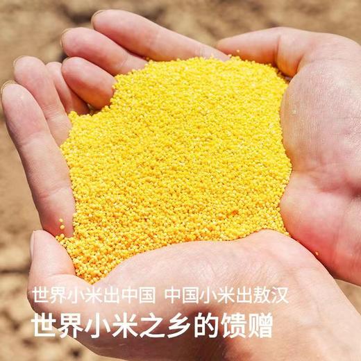 敖汉有机小米 商品图1