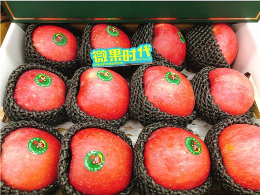 红香妃苹果礼盒（拼团） 商品图1