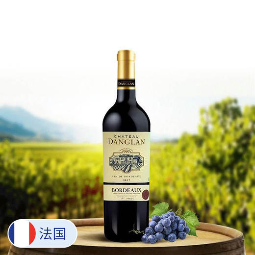 【法国进口】丹朗庄园干红葡萄酒 12.5%vol 750ml/瓶 商品图0