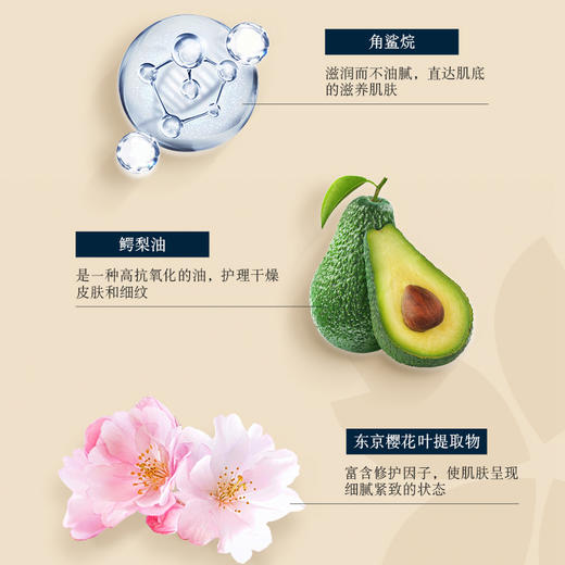 【中欧班列精选4支】日本樱花护手霜 原装进口蝶印角鲨烷樱花香护手霜 50g/支 商品图8