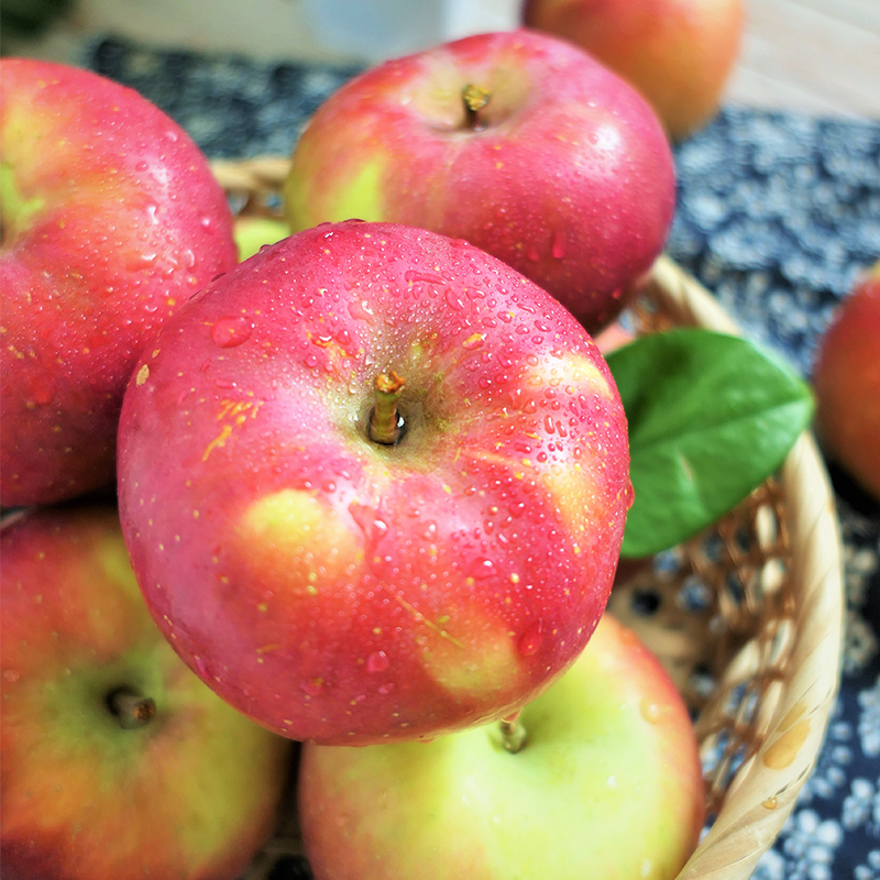 11.26下架【爽脆细嫩】大凉山丑苹果 外丑内甜 5斤/8斤/12枚果 彩箱/礼盒装