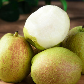 【秋季新品】红香酥梨子 新鲜水果 应当季整箱 脆甜香梨 时令青雪酥梨xsg8