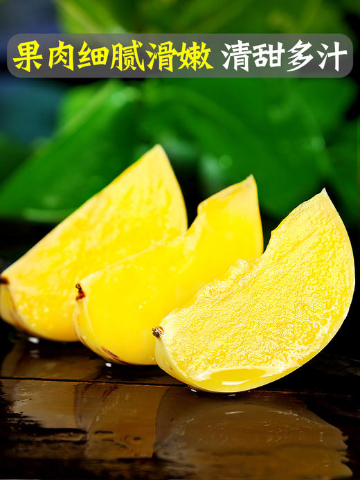 【好吃的人参果 】网红熟人叁果  新鲜水果 应当季人生果黄肉大圆果  xsg16 商品图1