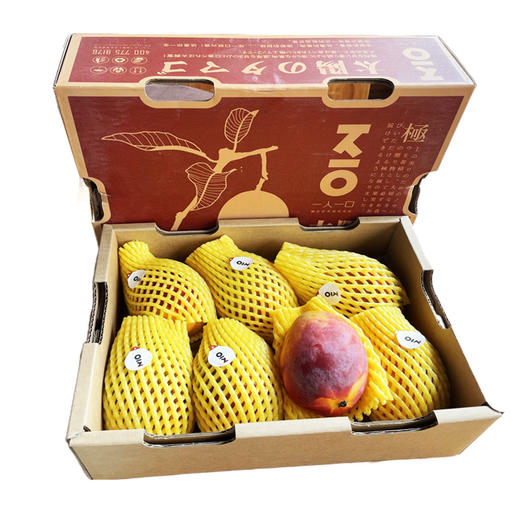 太阳芒果（礼盒） 商品图0