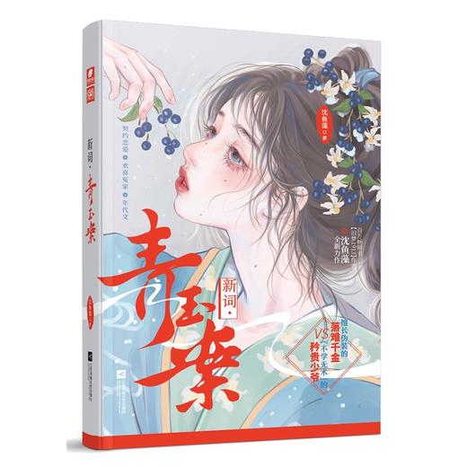 新词·青玉案 商品图1