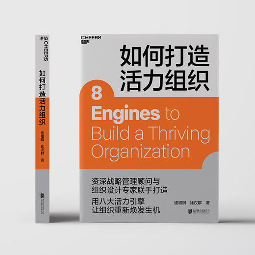 湛庐｜如何打造活力组织 商品图1