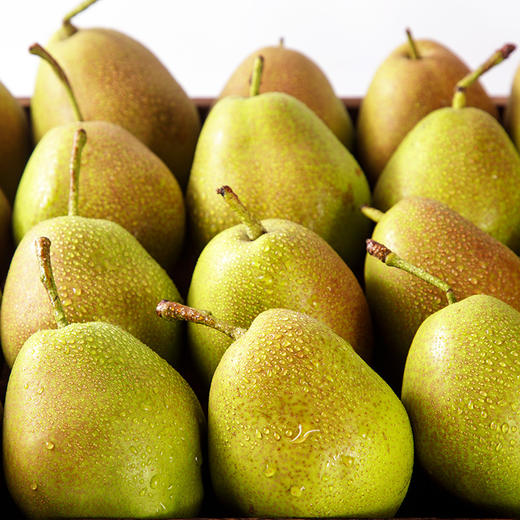 【秋季新品】红香酥梨子 新鲜水果 应当季整箱 脆甜香梨 时令青雪酥梨xsg8 商品图1