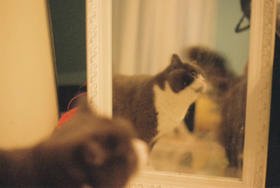 yy-资产公交车分销测试商品-勿动