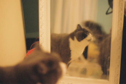 yy-资产公交车分销测试商品-勿动 商品图0