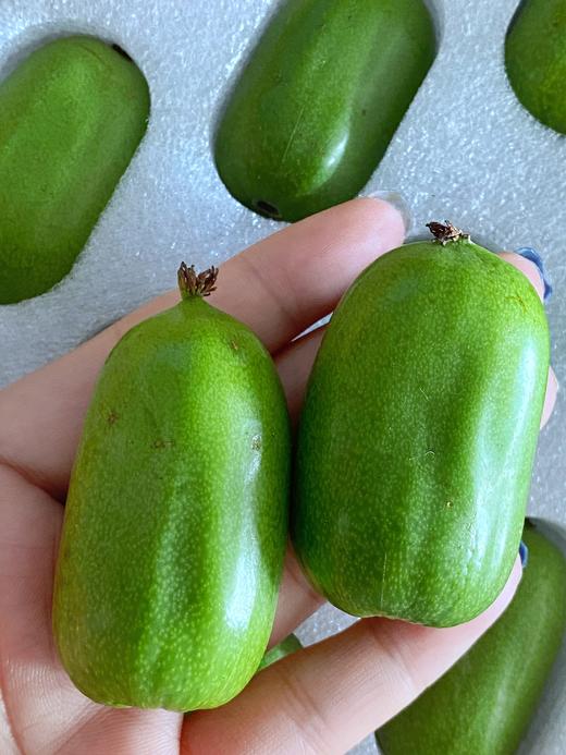 mini绿，plus甜【奇异莓·秋天限定】纯有机，Vc含量爆表！纯甜大果，无限回购～京东发货 商品图4