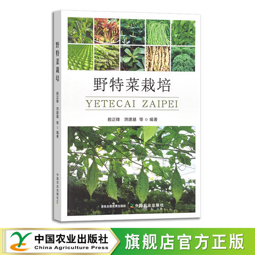 野特菜栽培 赖正锋,洪建基 蔬菜 园艺 野生植物 29764 商品图0
