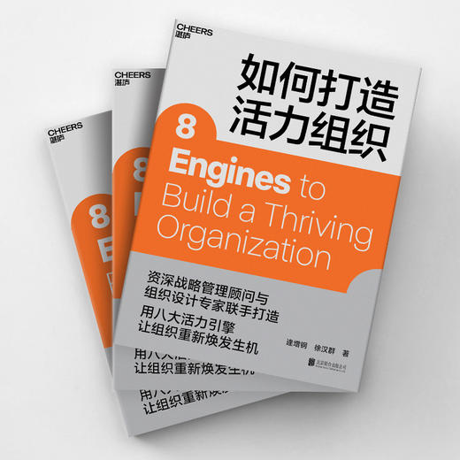 湛庐｜如何打造活力组织 商品图2
