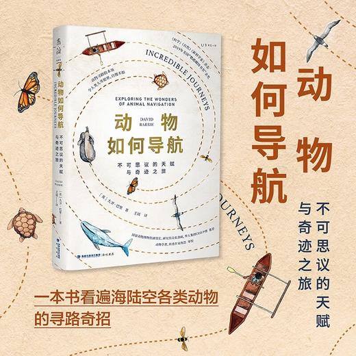 动物如何导航 不可思议的天赋与奇迹之旅 大卫·巴里 著 科普读物 商品图1