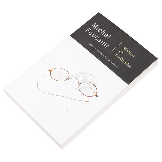 【中商原版】福柯 疯癫与文明 英文原版 Madness and Civilization A History of Insanity in the Age of Reason Michel Fo 商品图2