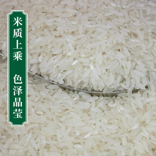 泉小淘优质生态油粘米5kg 商品图2