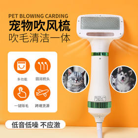 宠物2合1吹风梳 多功能电动热风梳 低音底噪 圆润梳头美容清洁