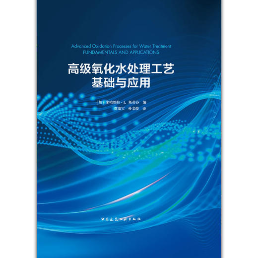 高级氧化水处理工艺基础与应用 商品图2