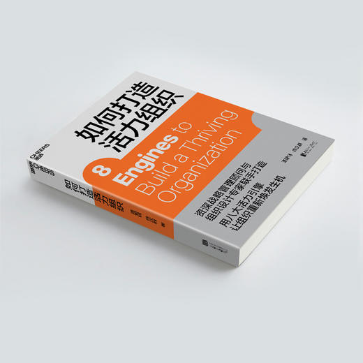 湛庐｜如何打造活力组织 商品图3