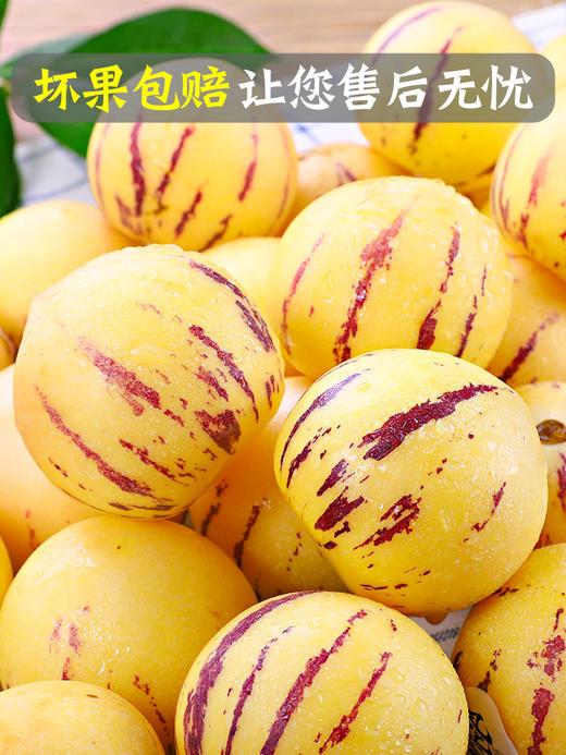 【好吃的人参果 】网红熟人叁果  新鲜水果 应当季人生果黄肉大圆果  xsg16 商品图4
