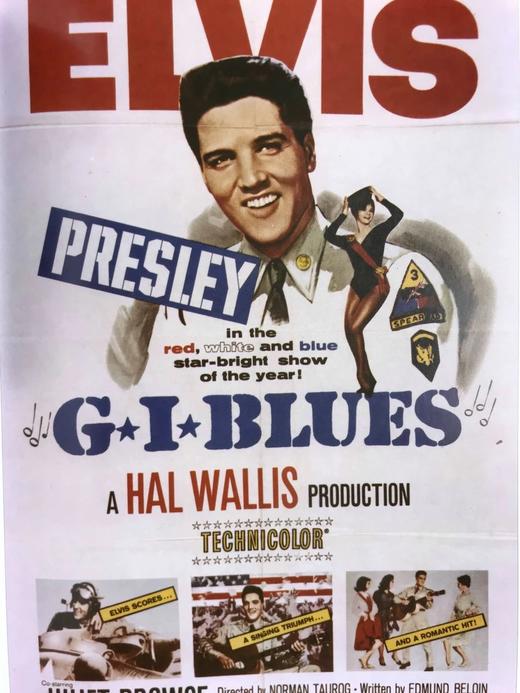 猫王图传 400余幅插图 精装16开 商品图10