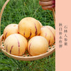 云南石林人参果    水果中的“灌汤包” 清香多汁  皮薄肉厚  水嫩多汁  清甜可口   富含多种微量元素 清甜解渴 商品缩略图0