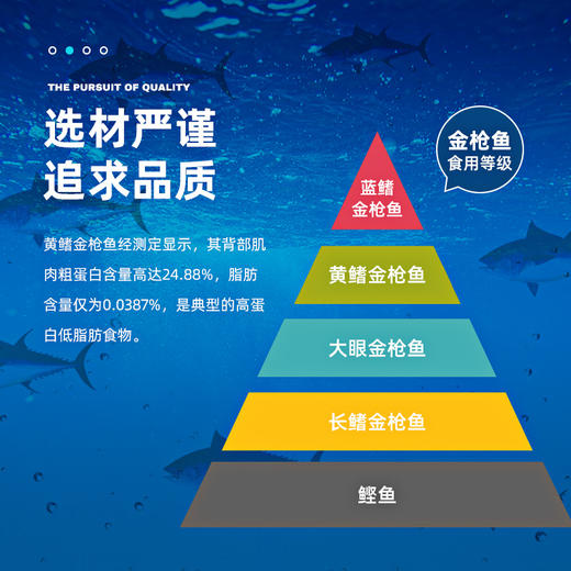 【超值6罐装】意大利进口用意帕斯塔橄榄油浸黄鳍金枪鱼罐头 商品图7