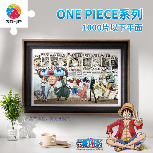 One Piece系列-1000片以下平面 商品图0