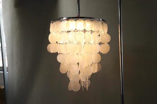 珠光宝气贝壳路引（运费自理） 商品图1