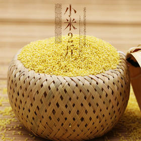 小米2斤*2【产地直发】@谦益