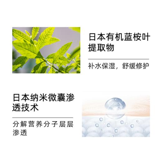 蓝桉叶机能补水面膜 商品图2