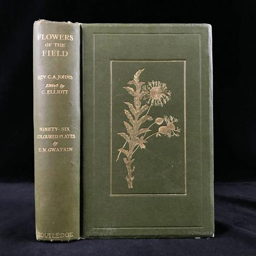 1911年 野外花朵图鉴 96幅彩色与245幅黑白木版画插图 漆布精装大32开 商品图0